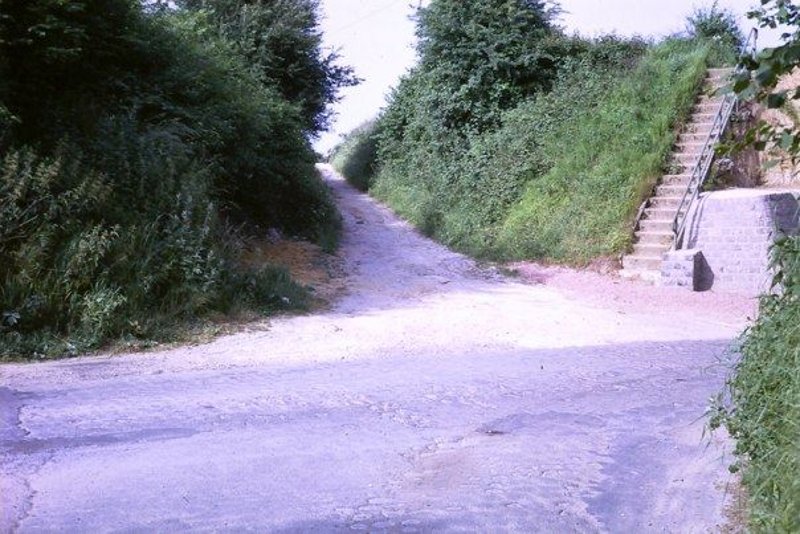 Fichier:For (10).jpg