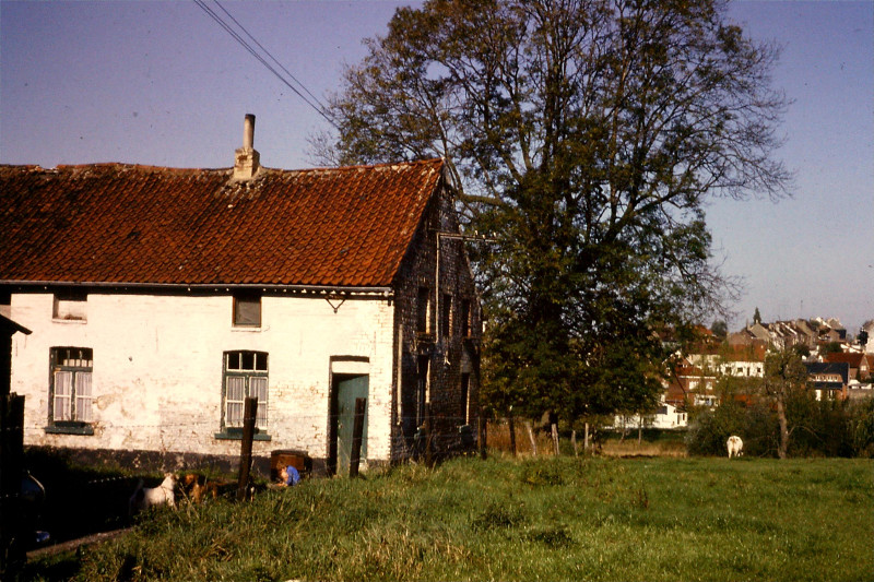 Fichier:Rjv (20).jpg