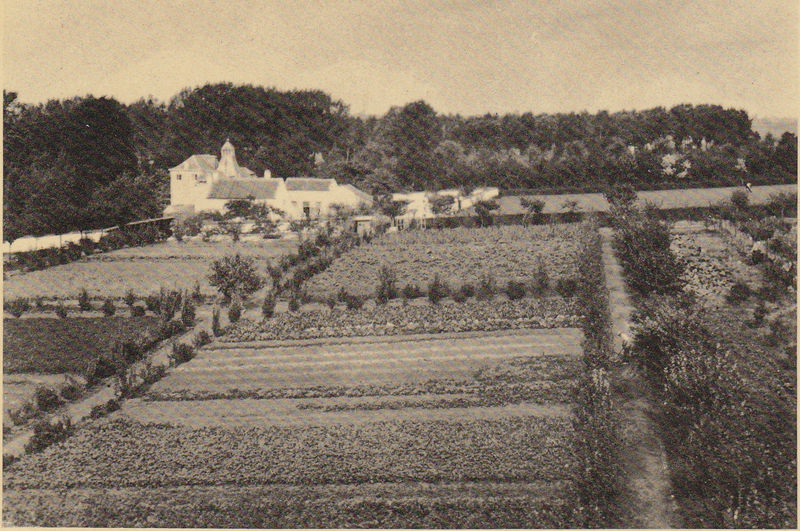 Fichier:1935 potager.jpg