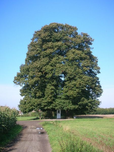 Fichier:Gibloux.JPG