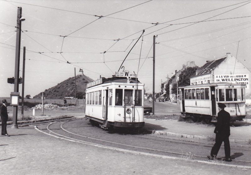 Fichier:Rlion530607.jpg