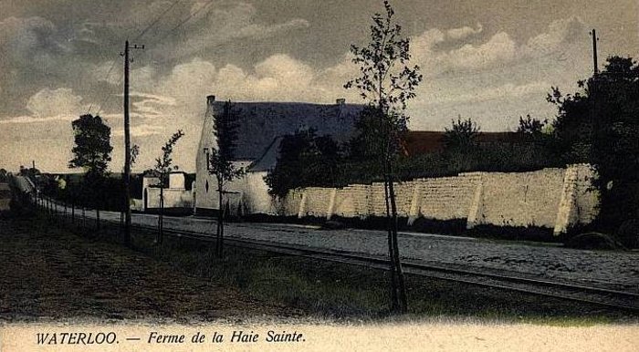 Fichier:Haie (16).jpg