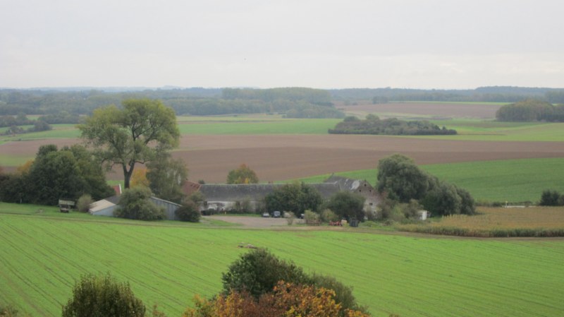 Fichier:Haiesaintelion.jpg