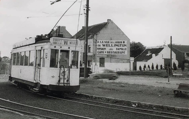 Fichier:Chacha50.jpg
