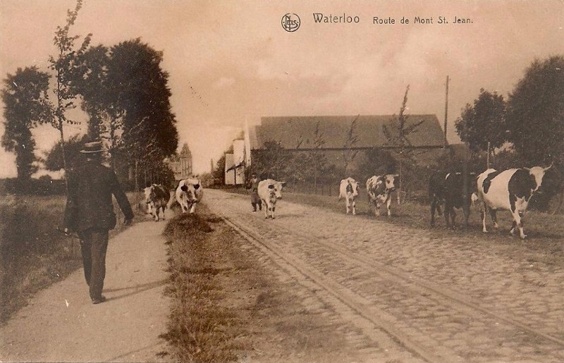 Fichier:Fmsj (46).jpg