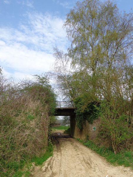 Fichier:Chfour150416 (2).JPG